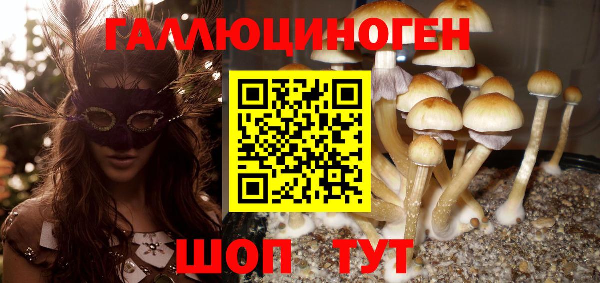 Галлюциногенные грибы мицелий Боровичи